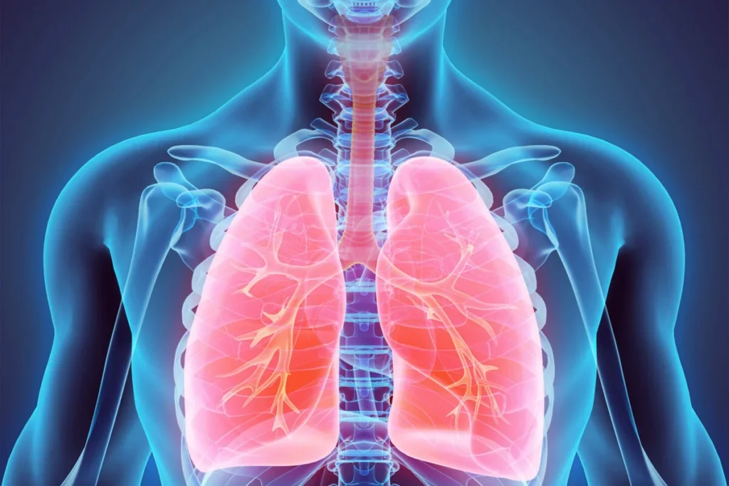 Lungs Cancer Detection using CNN Deep Model